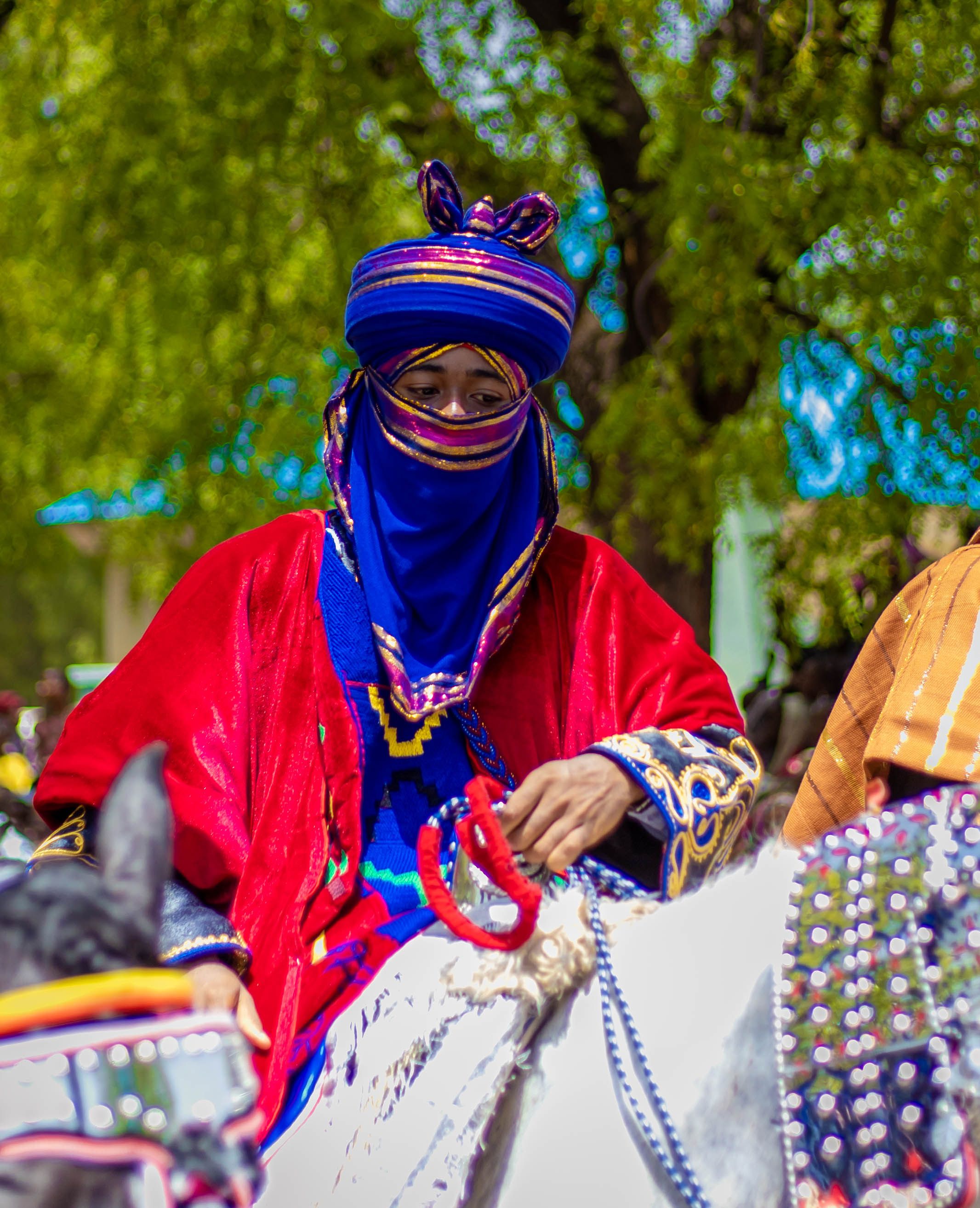 Traditional Horseman in Vibrant Cultural Attire · Free Stock Photo