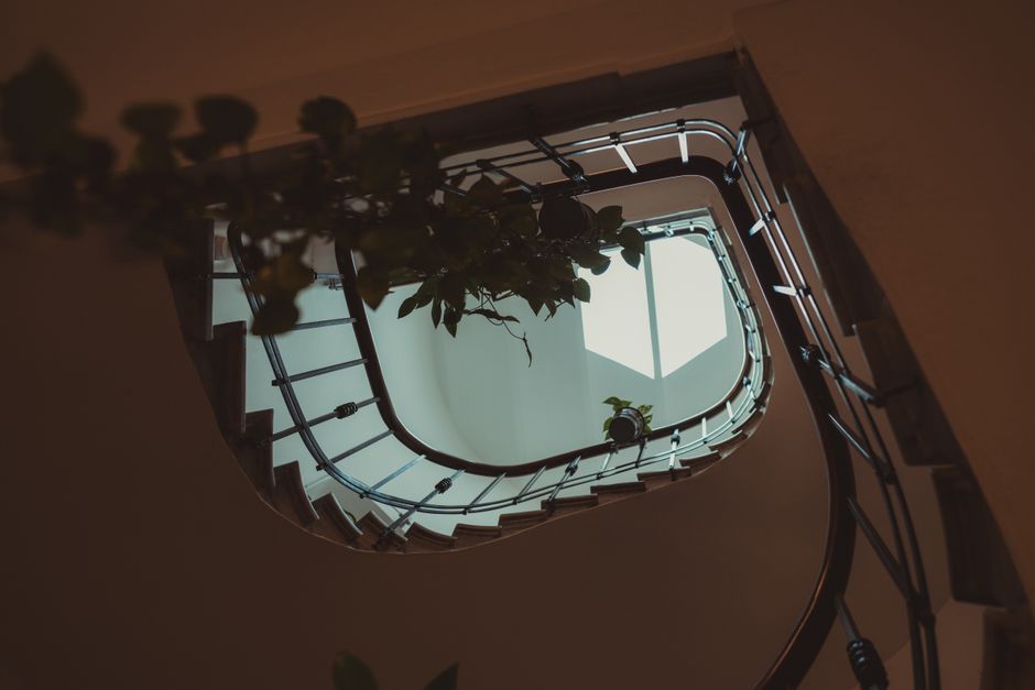 Artistic view of a spiral staircase with plants and modern architecture, shot indoors.