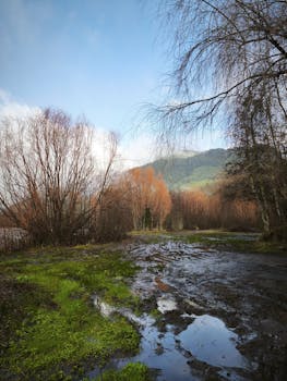 Explore a tranquil winter landscape featuring bare trees, a muddy path, and a distant mountain view.