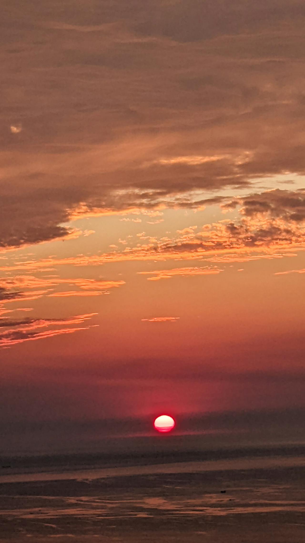 Phê phán hay phân biệt? Ranh giới giữa anti-Zionism và antisemitism