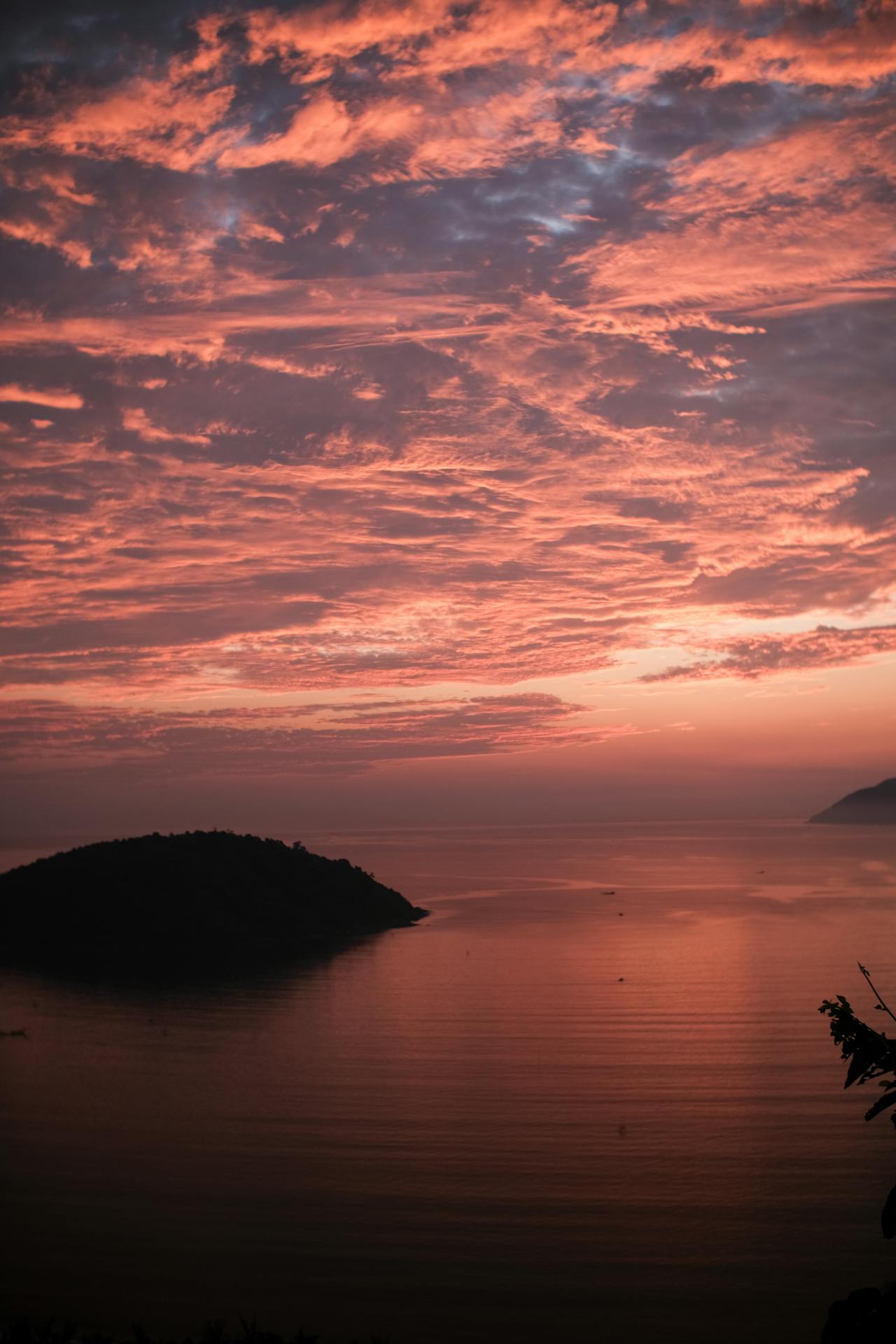 Trồng một nụ cười | Chương 02