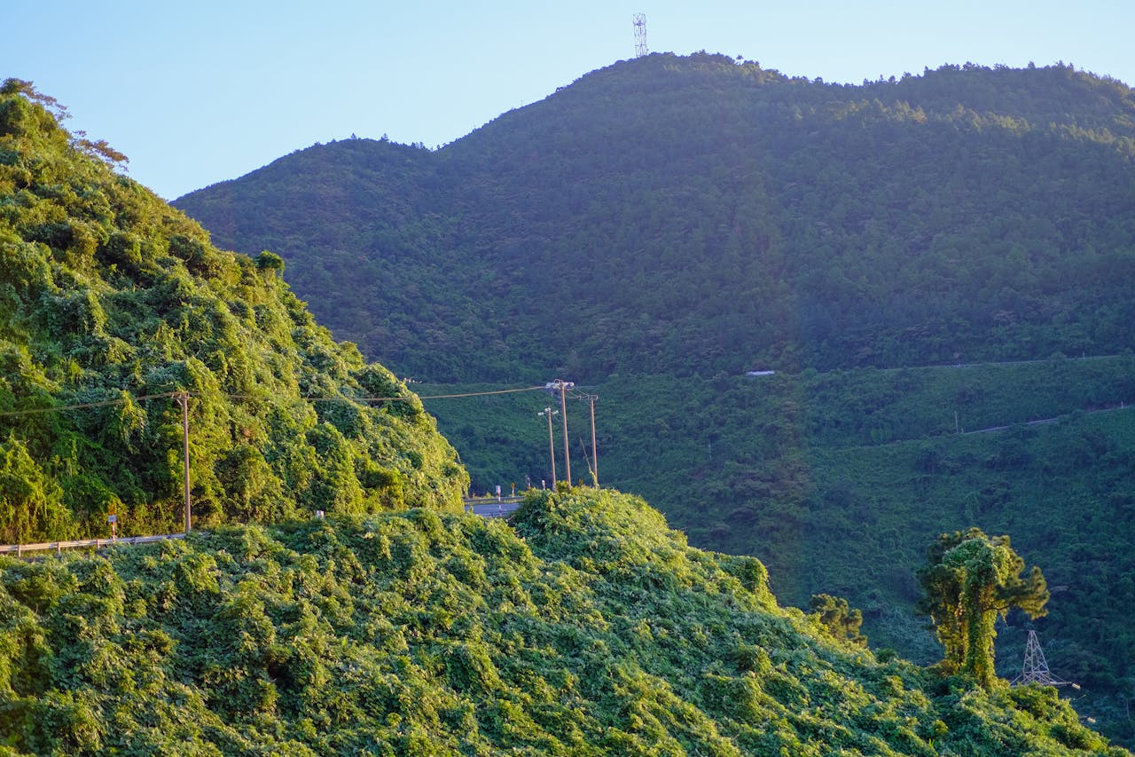 Thám tử lừng danh Conan | Chương 0933