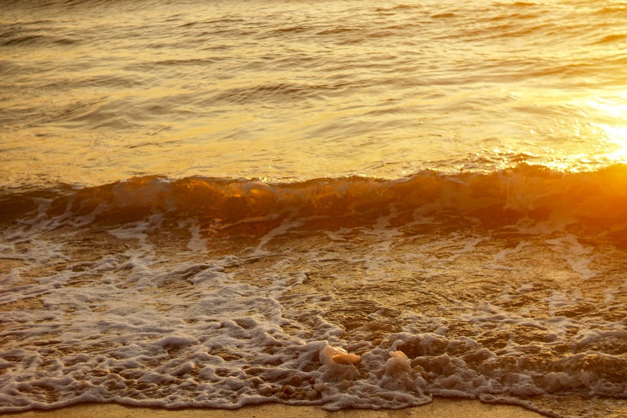 Gieo trồng hạnh phúc | Chương 02