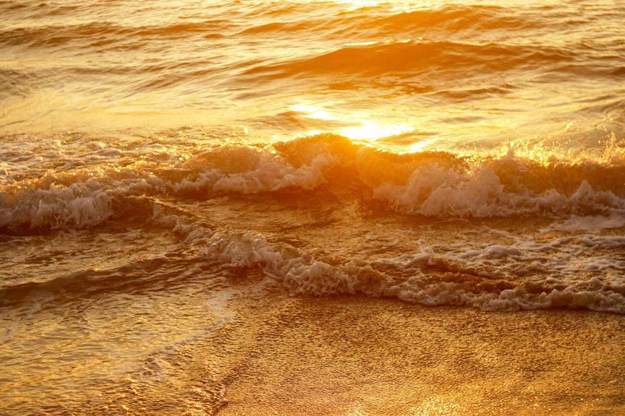 Biên niên ký chim vặn dây cót | Chương 58