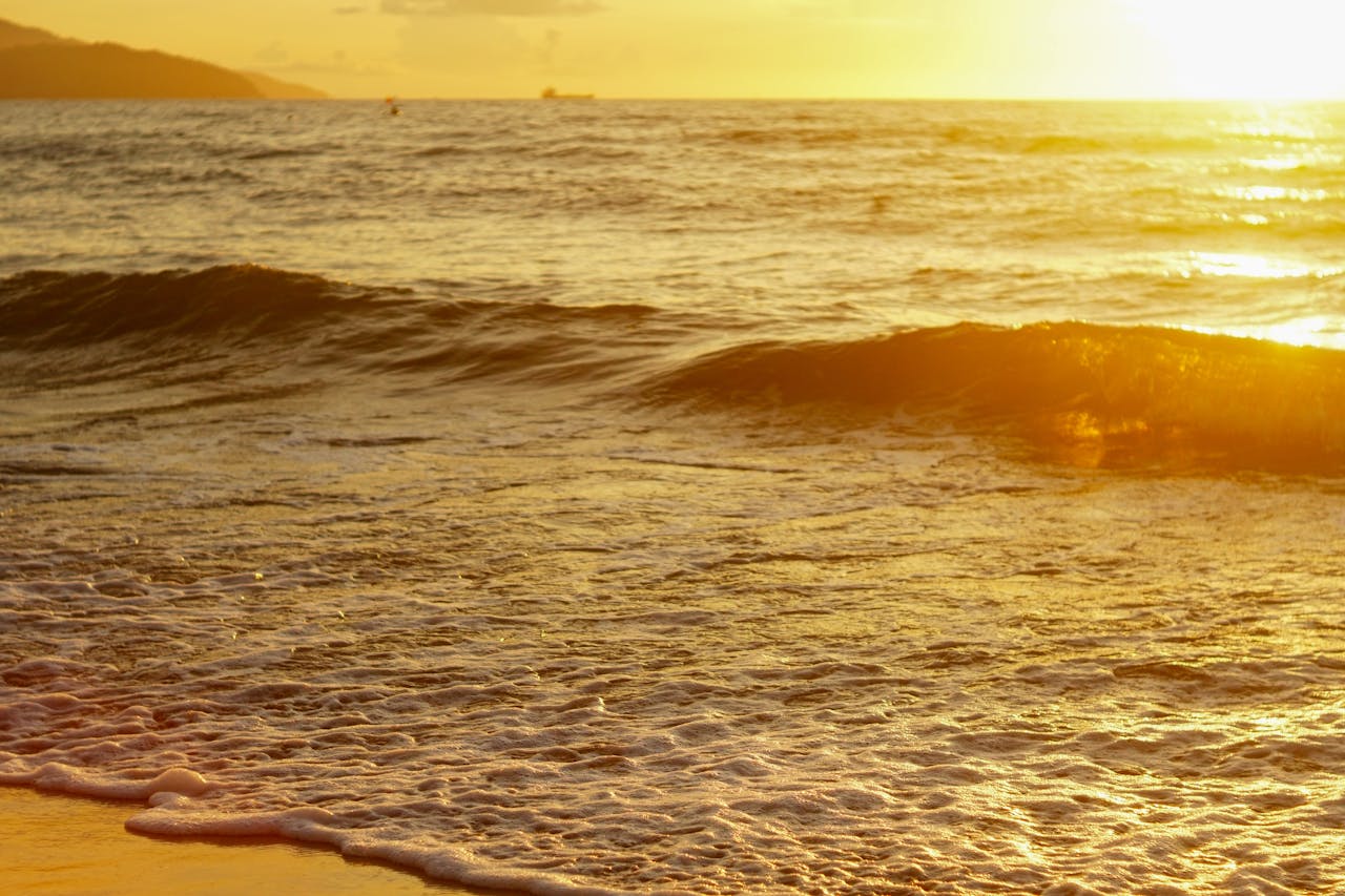 Thám tử lừng danh Conan | Chương 0557