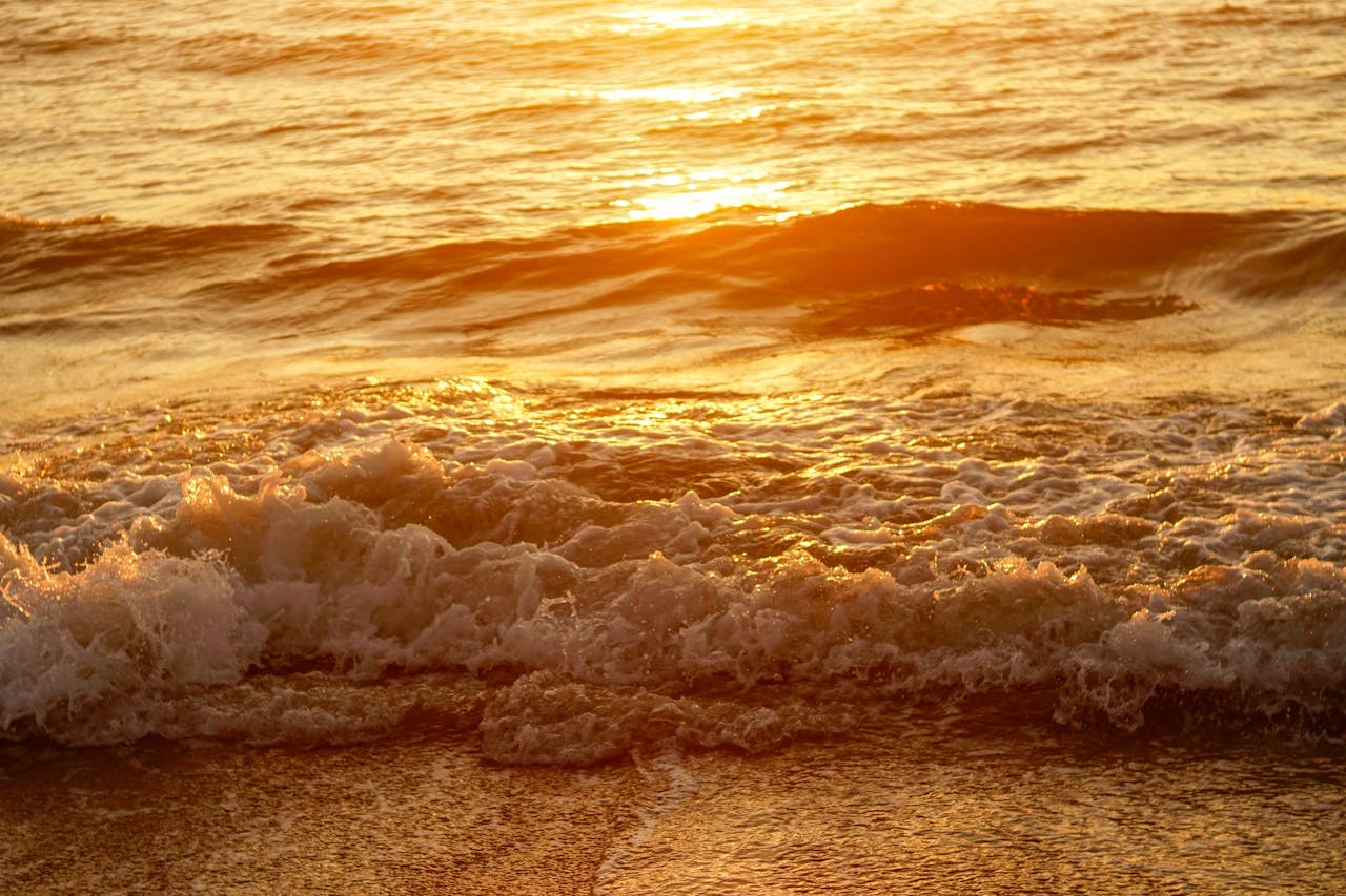 Hướng dẫn viết lách chuyên nghiệp