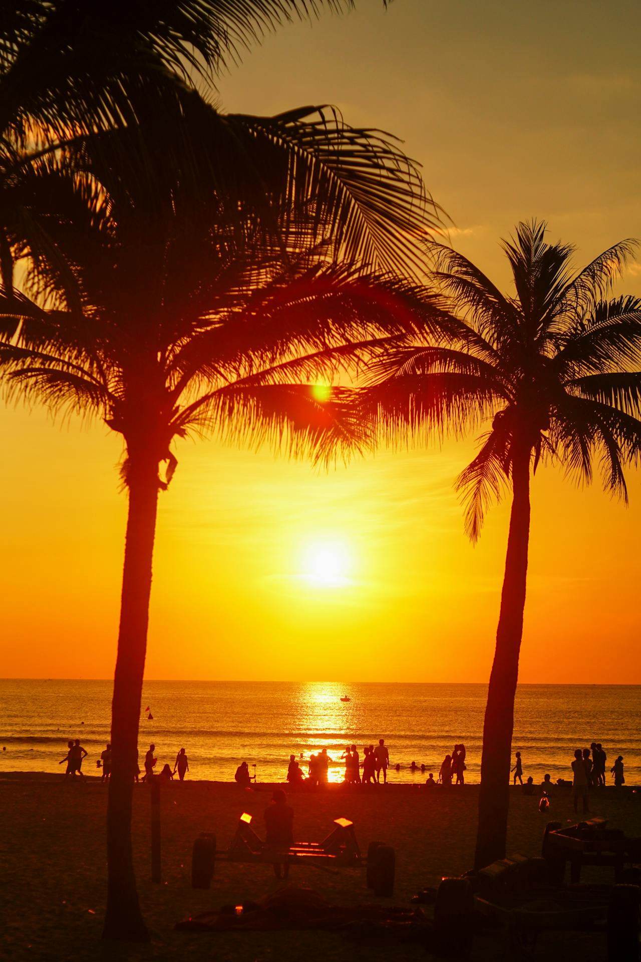 Hướng đi của đạo Bụt cho hòa bình và môi sinh | Chương 03