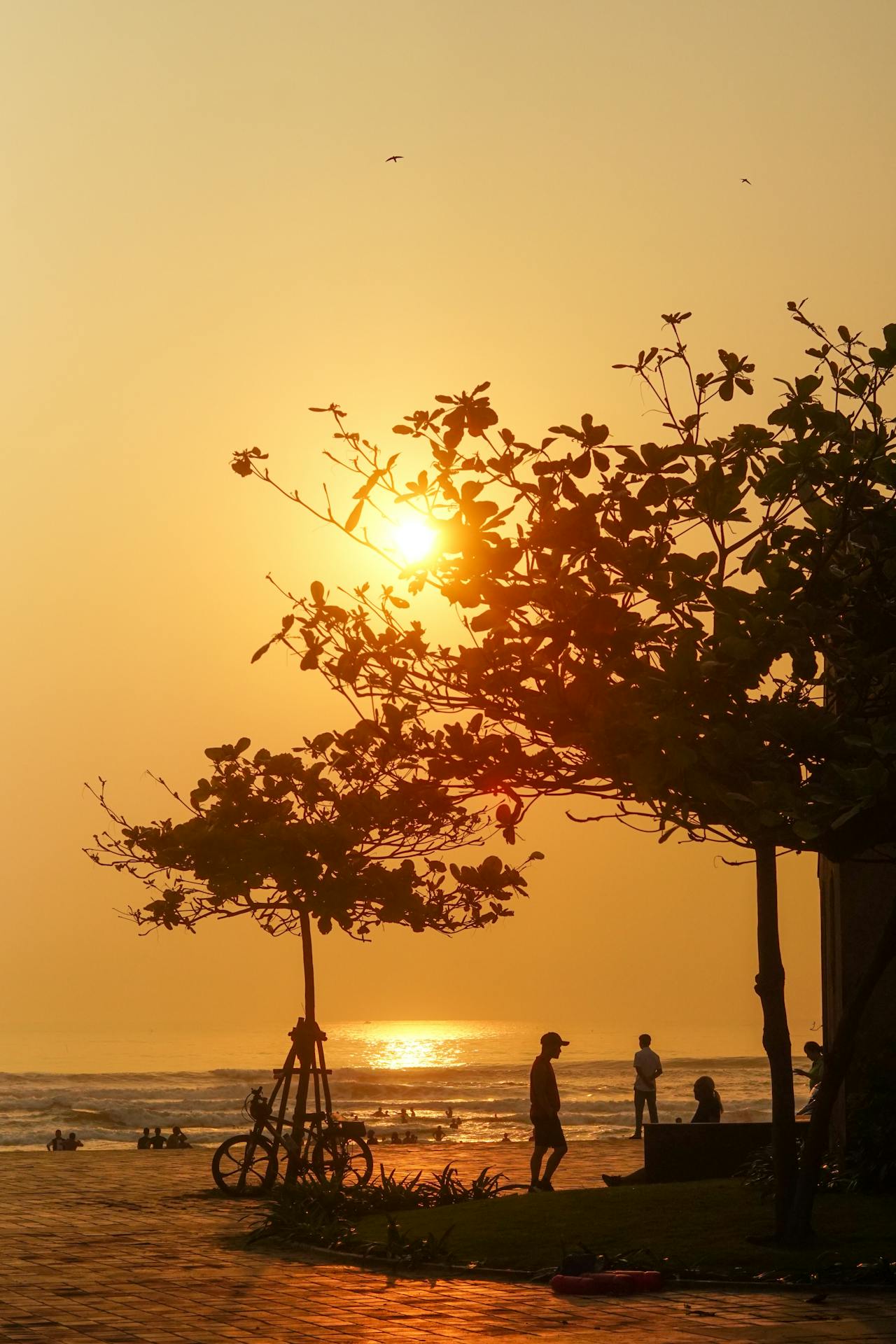 Diễn từ Nobel Văn học 1999 – Tiếp tục, Günter Grass