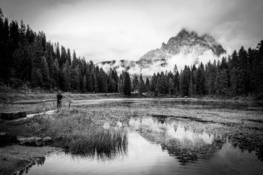 A tranquil mountain landscape with a lake and trees in Italy, in grayscale.