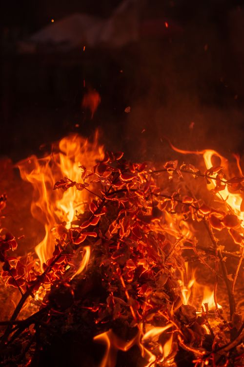 Free Captivating scene of burning leaves creating a warm autumn ambiance. Stock Photo