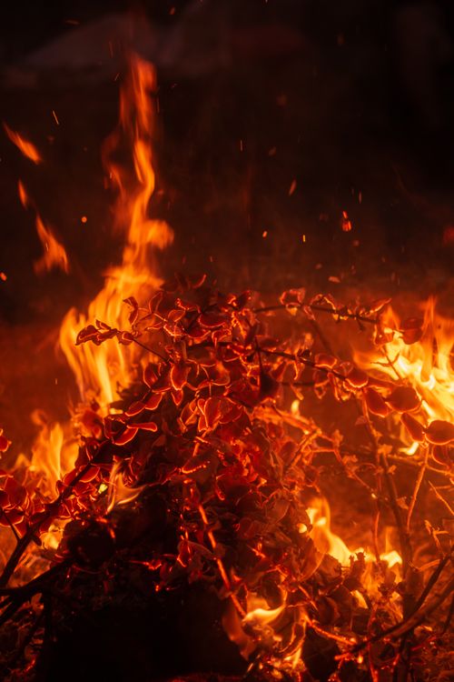 Free Dynamic fire scene with autumn leaves, capturing warm and dramatic tones. Stock Photo