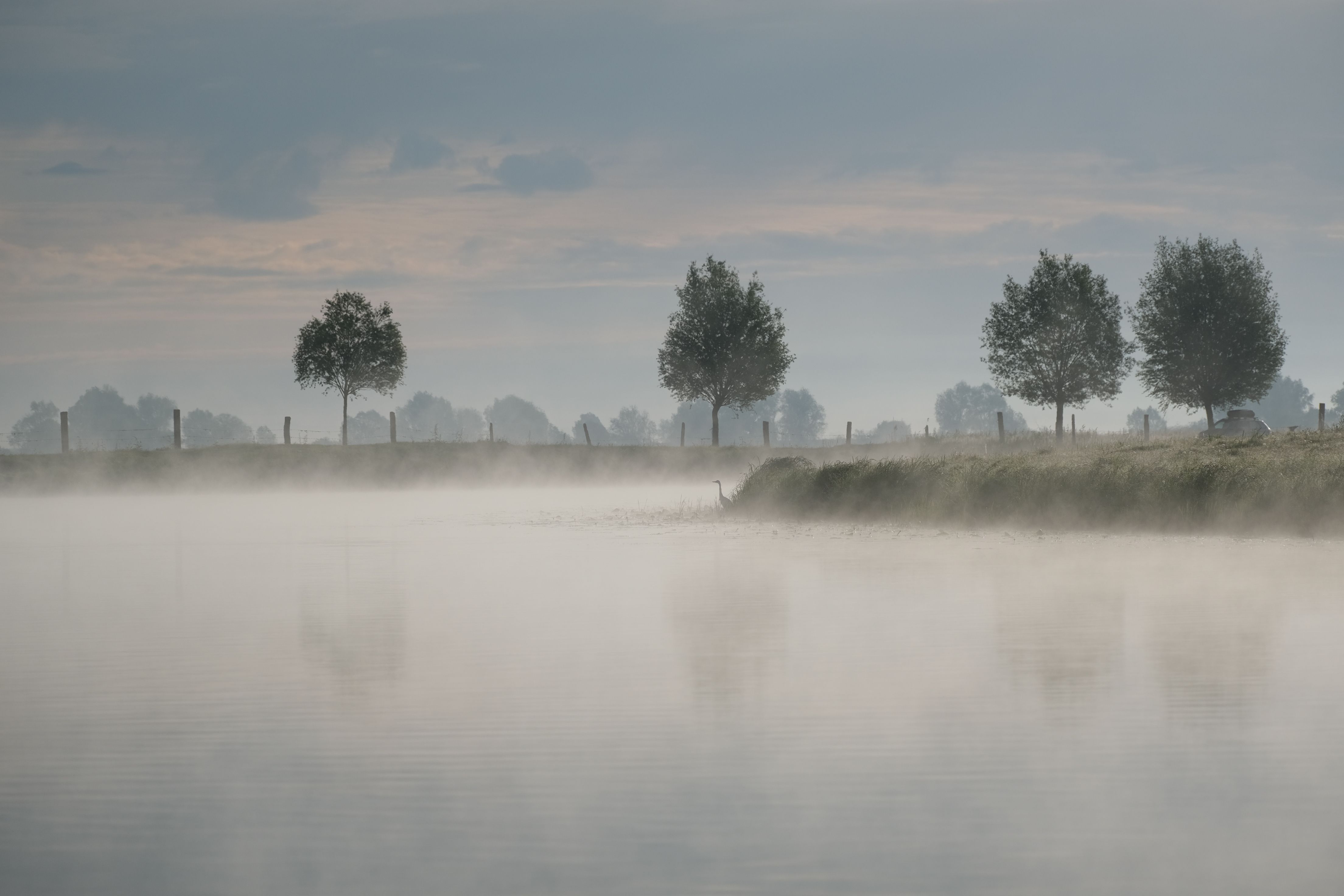 Serene Landscape with Misty River and Trees · Free Stock Photo