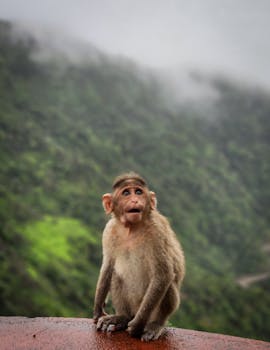 Bro just saw the WiFi signal disappear.