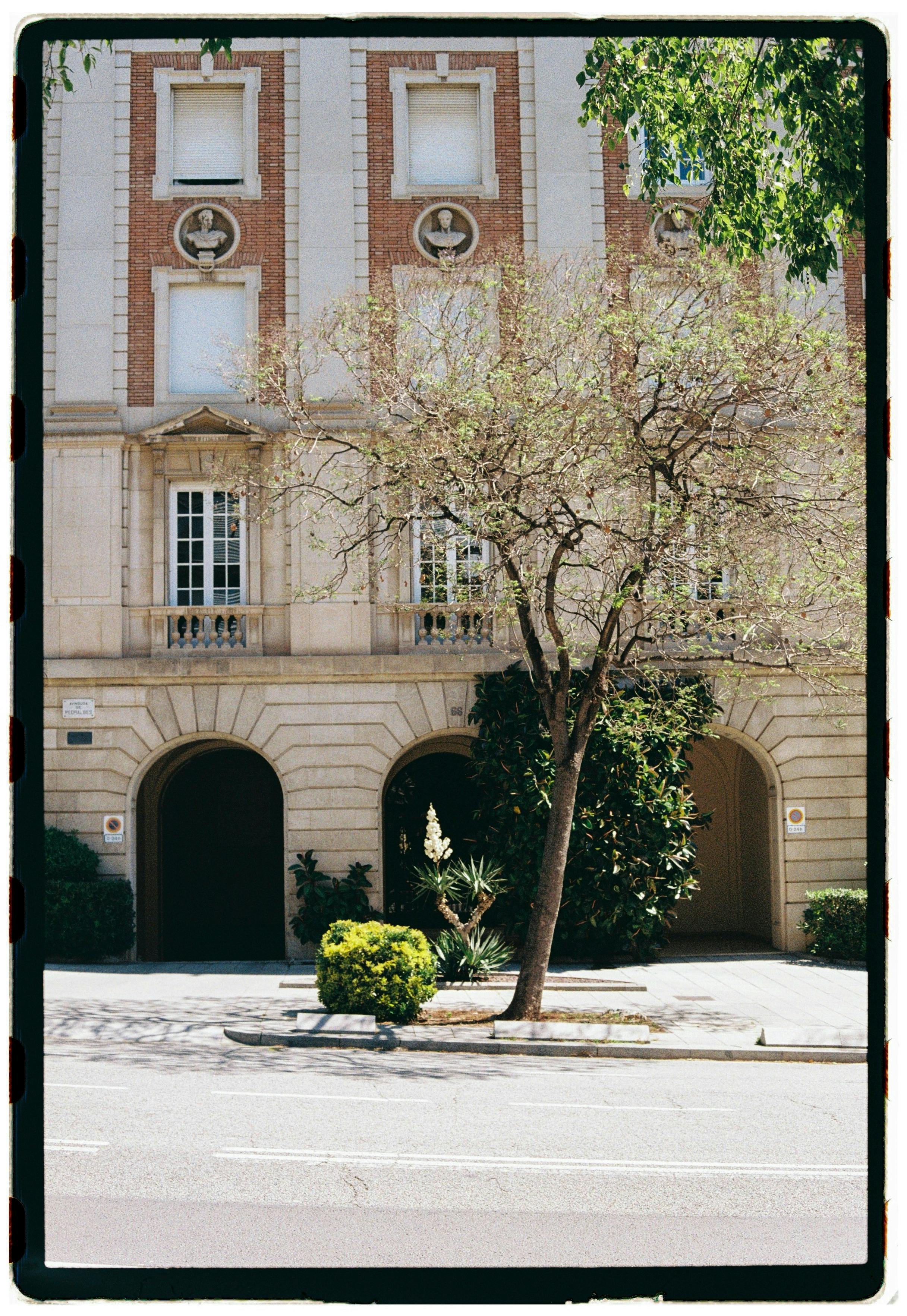 Classic building facade with arches and a leafless tree on a sunny day, capturing urban elegance.