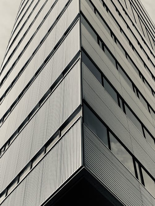 建筑物的灰度照片