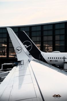 View of Lufthansa aircraft tails at an airport terminal. Ideal for travel and aviation themes.