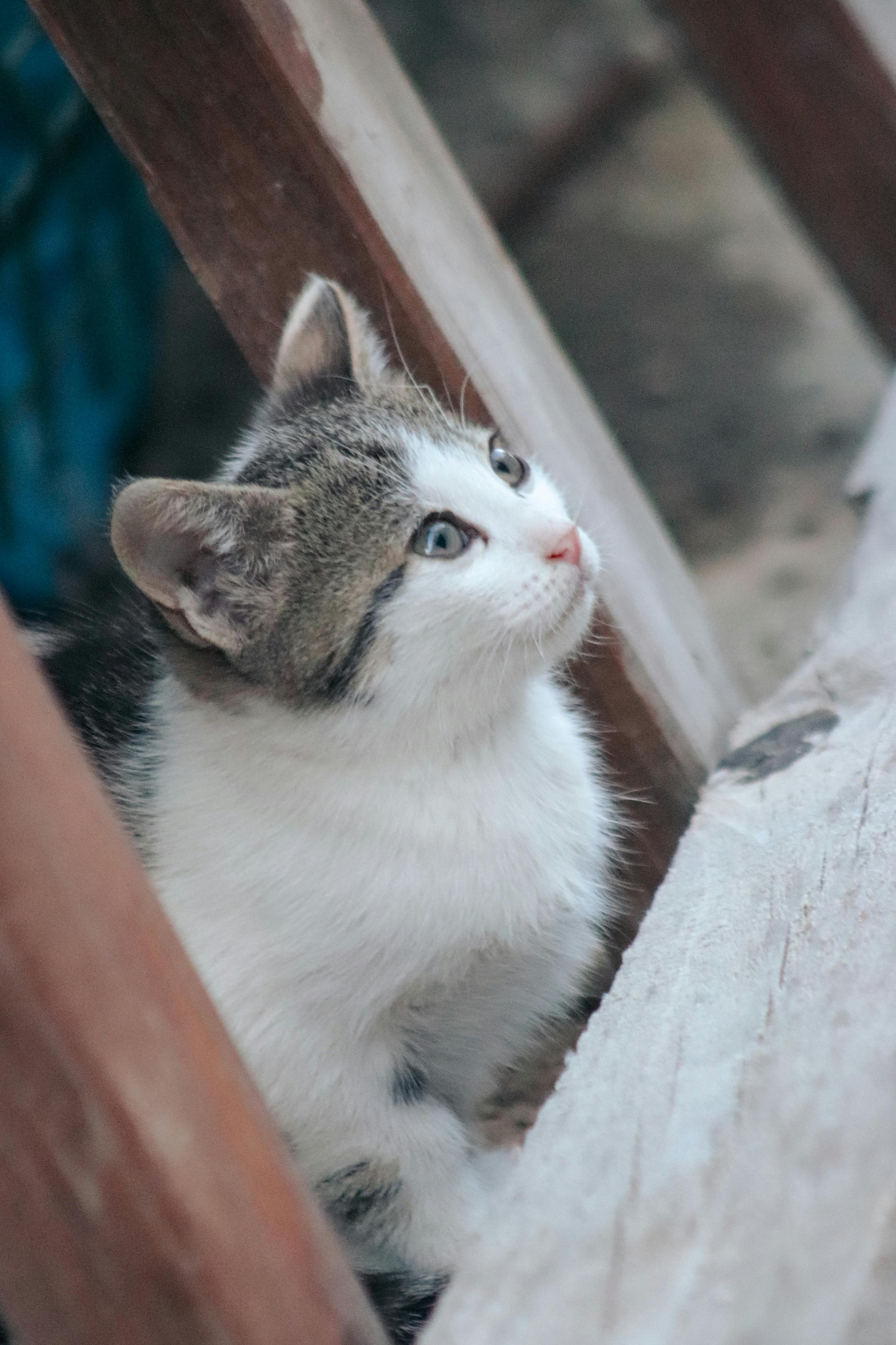 Aimez ce que vous faites et vous n'aurez jamais à travailler un seul jour de votre vie.