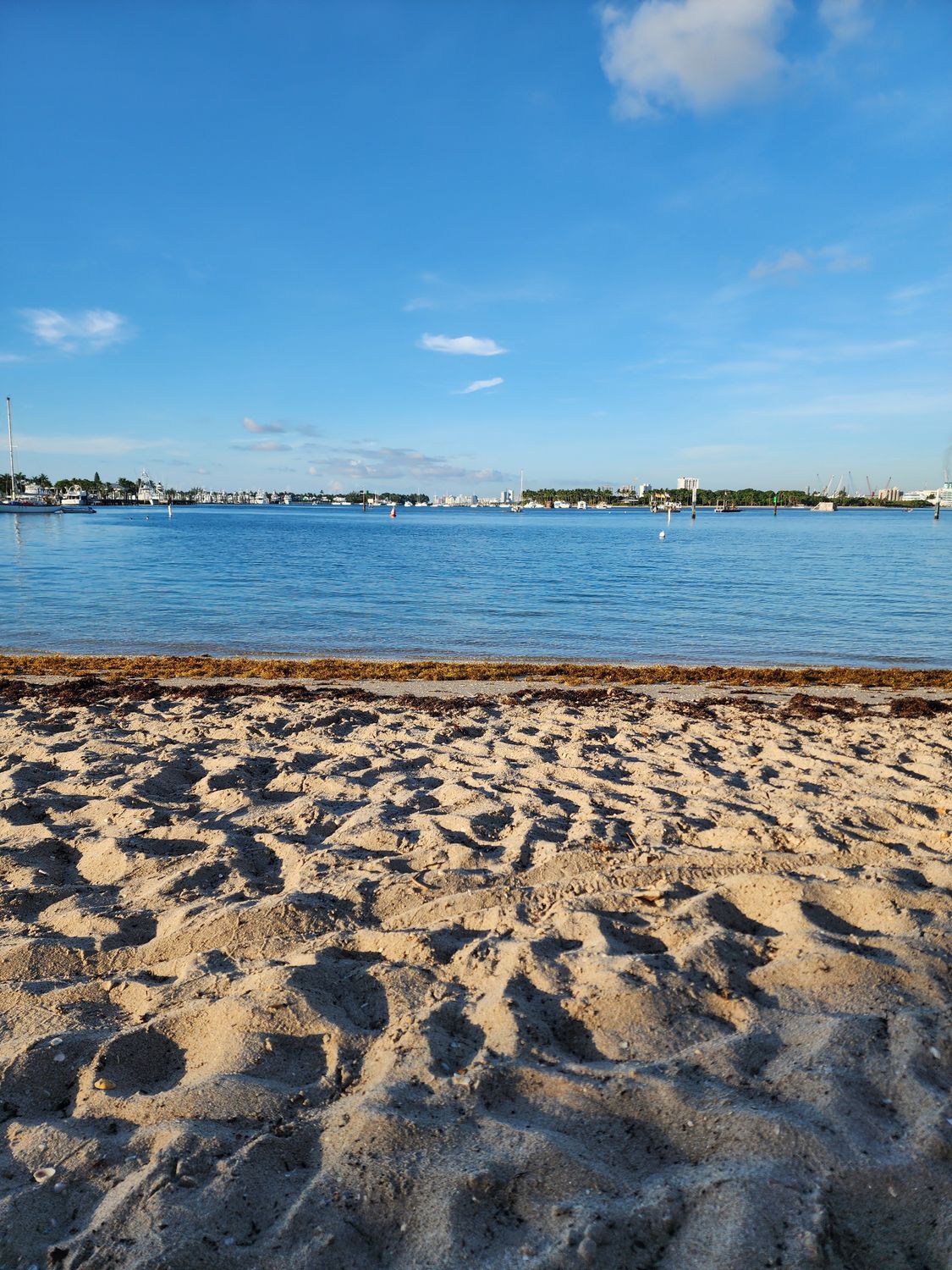 Serene Beach With Sandy Shoreline and Calm Waters · Free Stock Photo