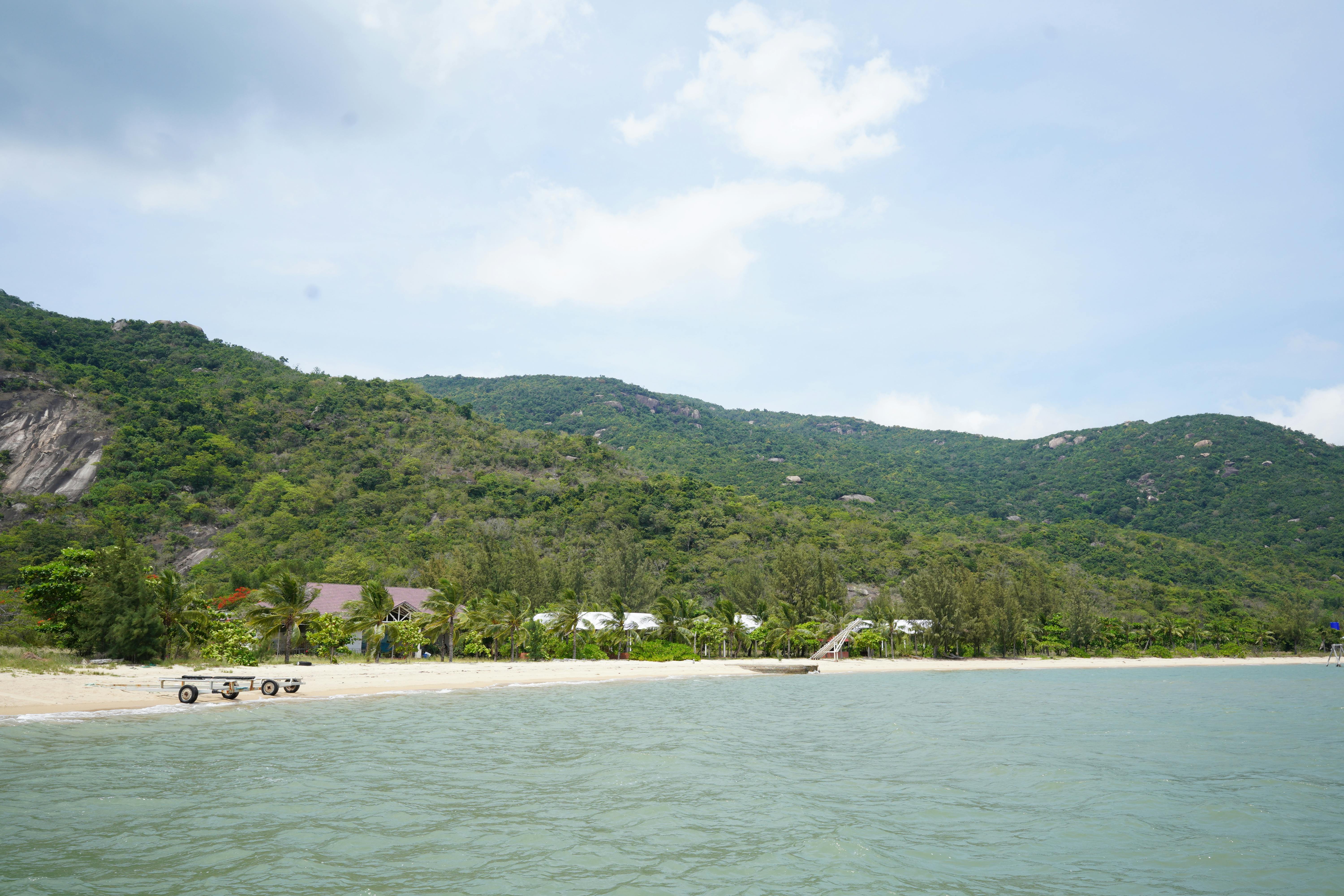 Serene beach with lush green hills under a bright sky, capturing tranquility.
