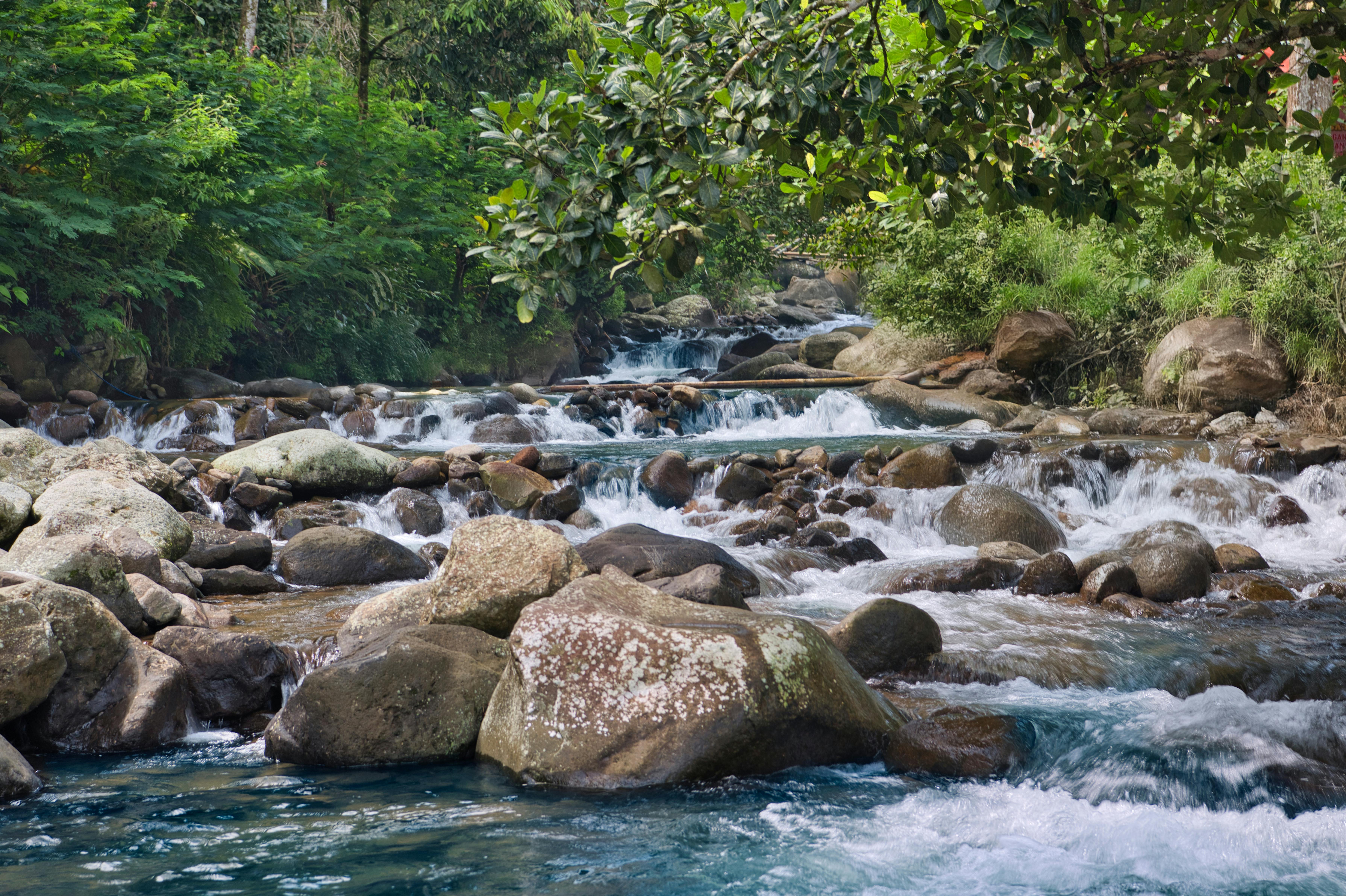 streaming discovery id — Photo by Tri Warno on Pexels