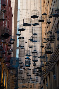 Artistic display of birdcages suspended between buildings in a city alleyway.
