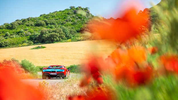 A vibrant red sports car drives down a picturesque rural road surrounded by lush greenery and blooming flowers.