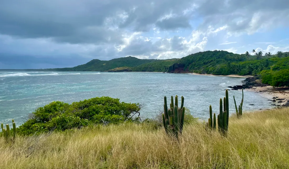 Martinique