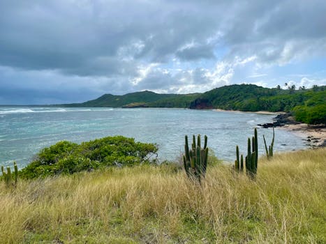 Sainte Anne, Guadeloupe photo 6