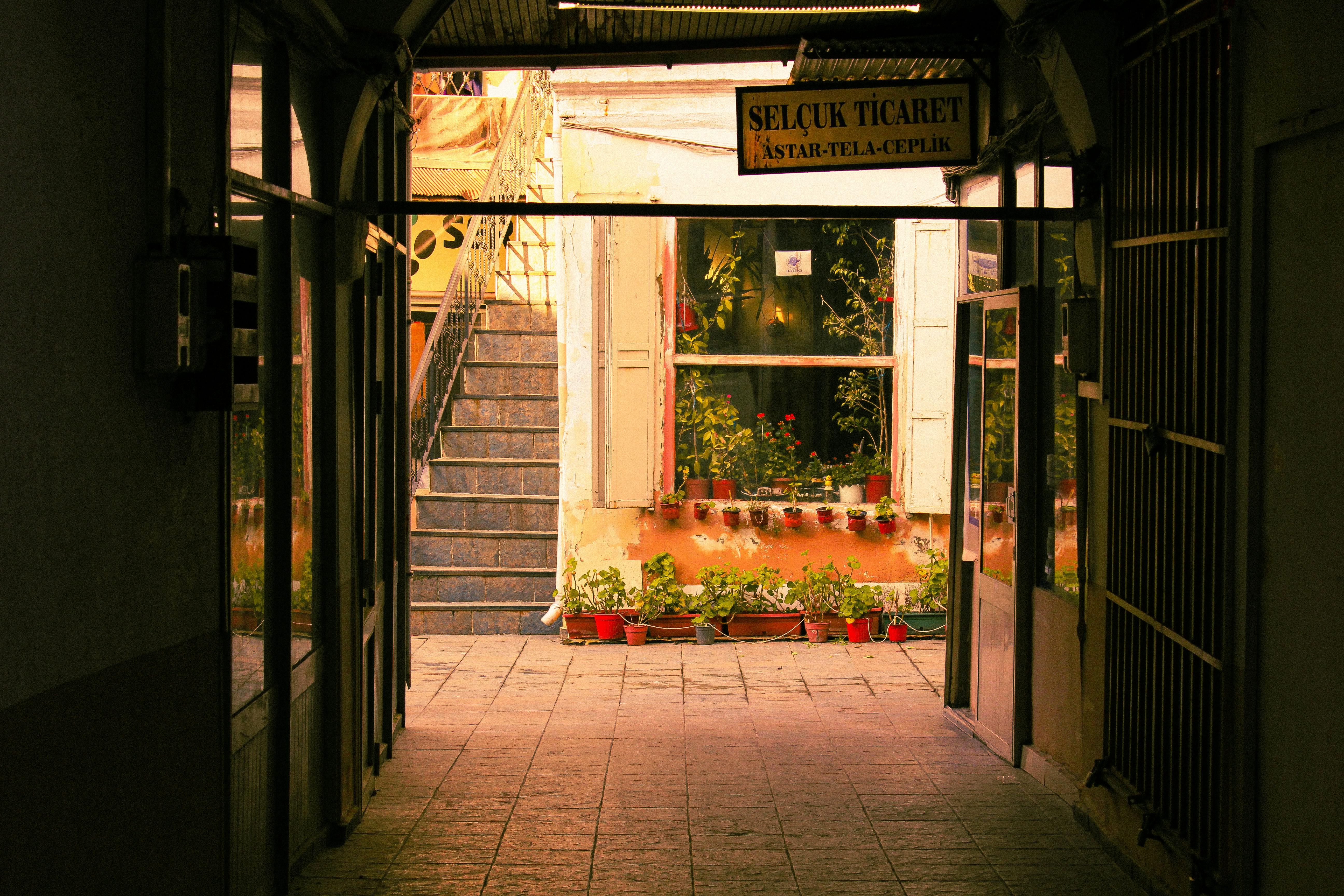 Gratuit Explorează o alee liniștită, cu decor vintage, plante luxuriante și o ambianță caldă. Fotografie de stoc