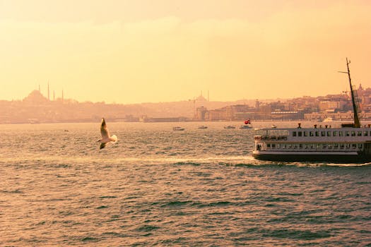 A ferry glides across the Bosphorus in Istanbul with a seagull soaring above, showcasing the skyline.
