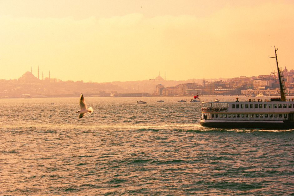 A ferry glides across the Bosphorus in Istanbul with a seagull soaring above, showcasing the skyline.
