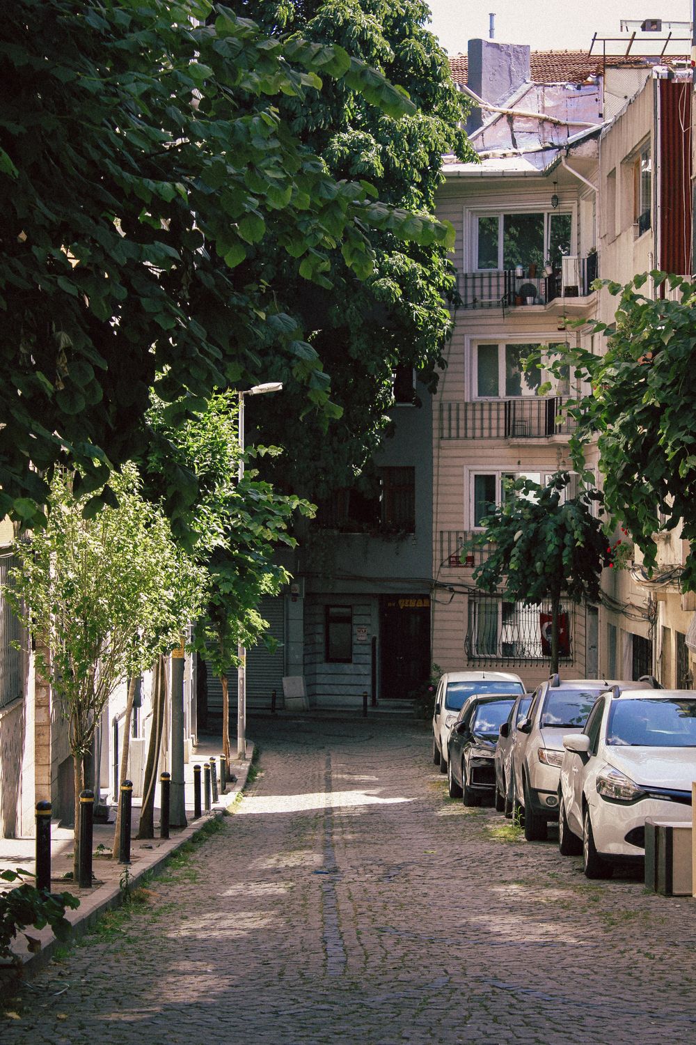 Charming Residential Street with Lush Greenery · Free Stock Photo