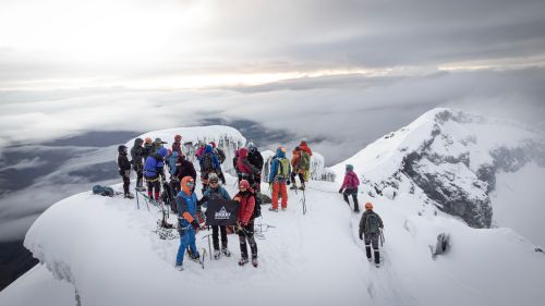 Free Adventurers reaching the summit of Cotopaxi volcano, Ecuador, on a snowy day. Stock Photo