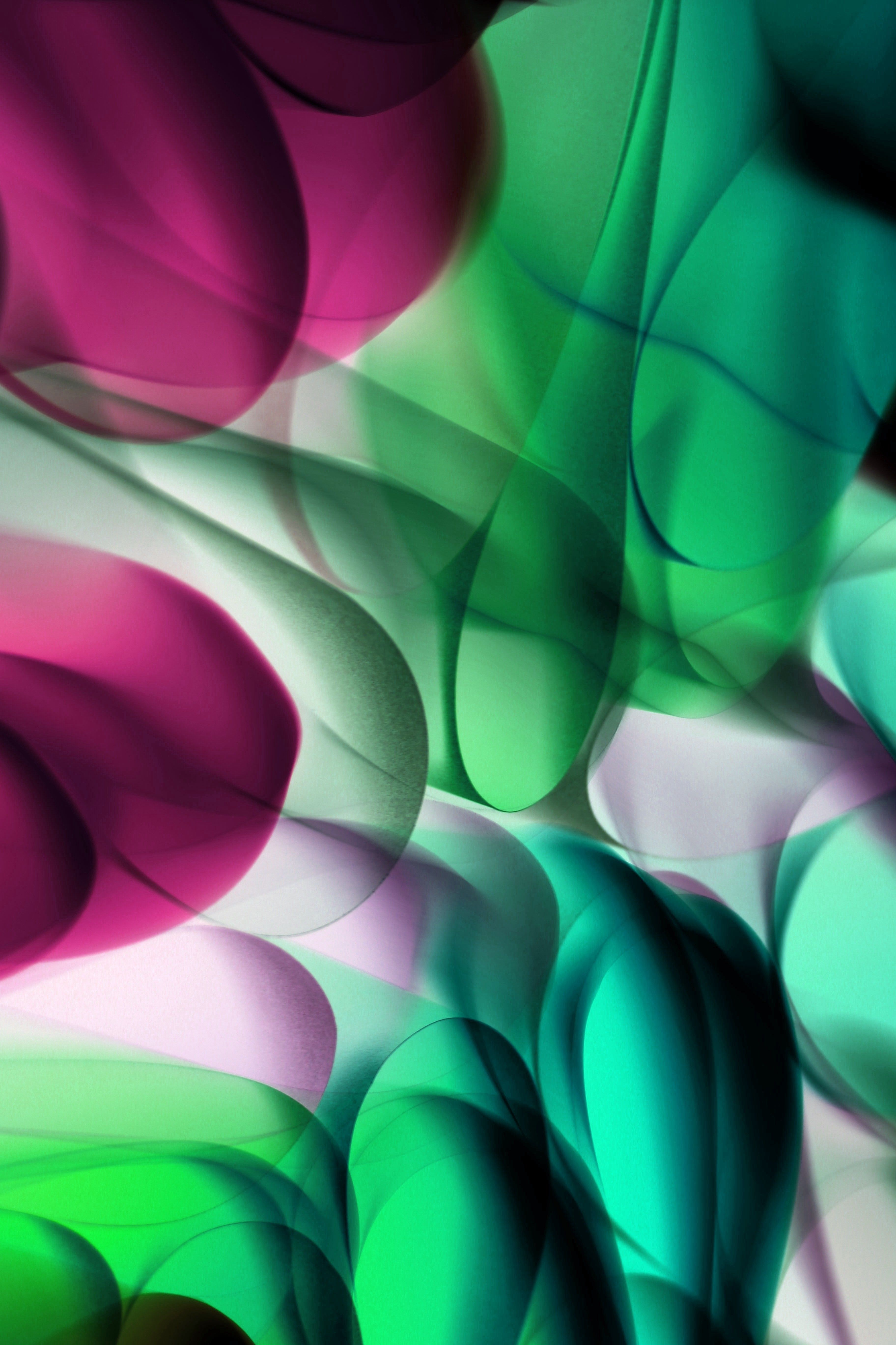Vibrant abstract art featuring flowing green and pink shapes with a modern aesthetic.