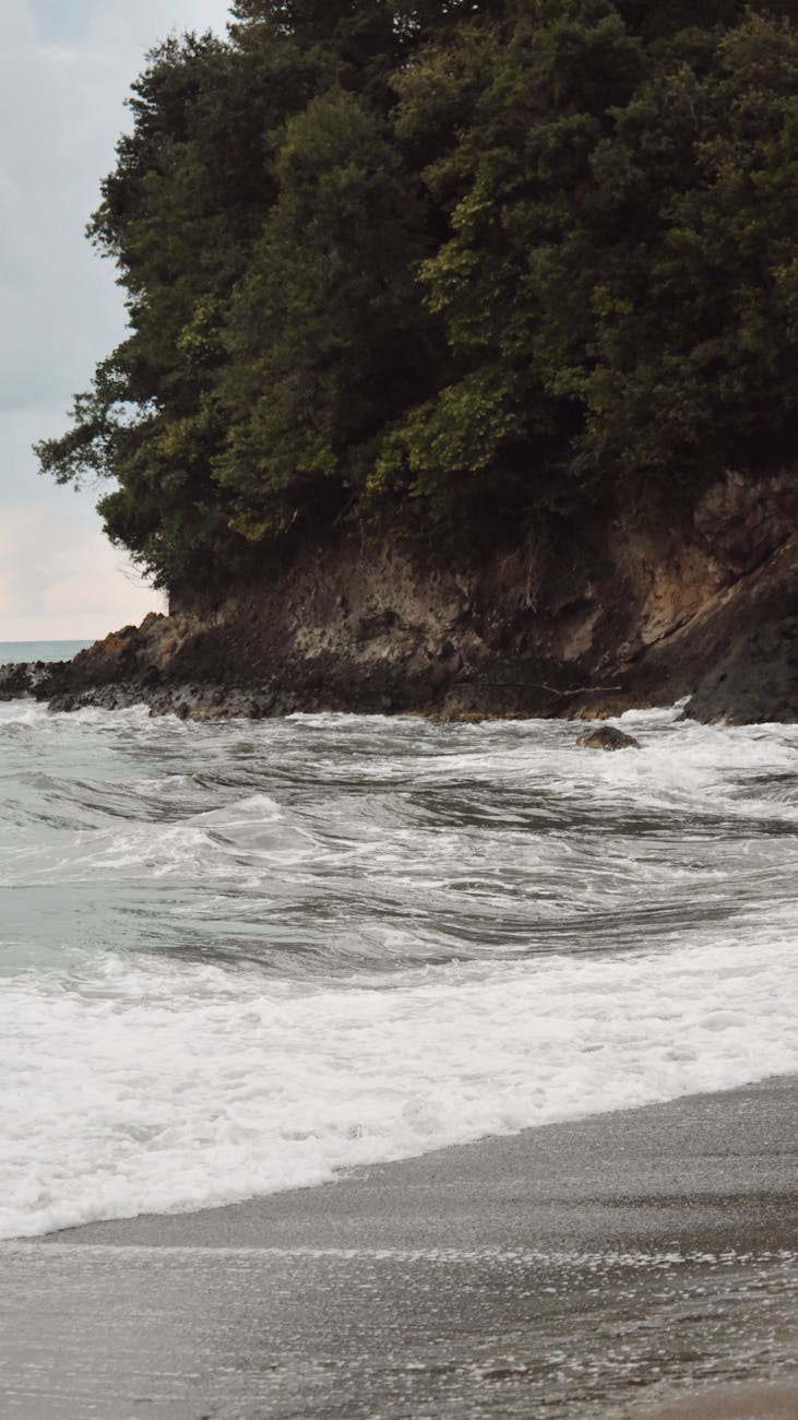 콜로이-수바 숲 보호구역 갤러리 이미지