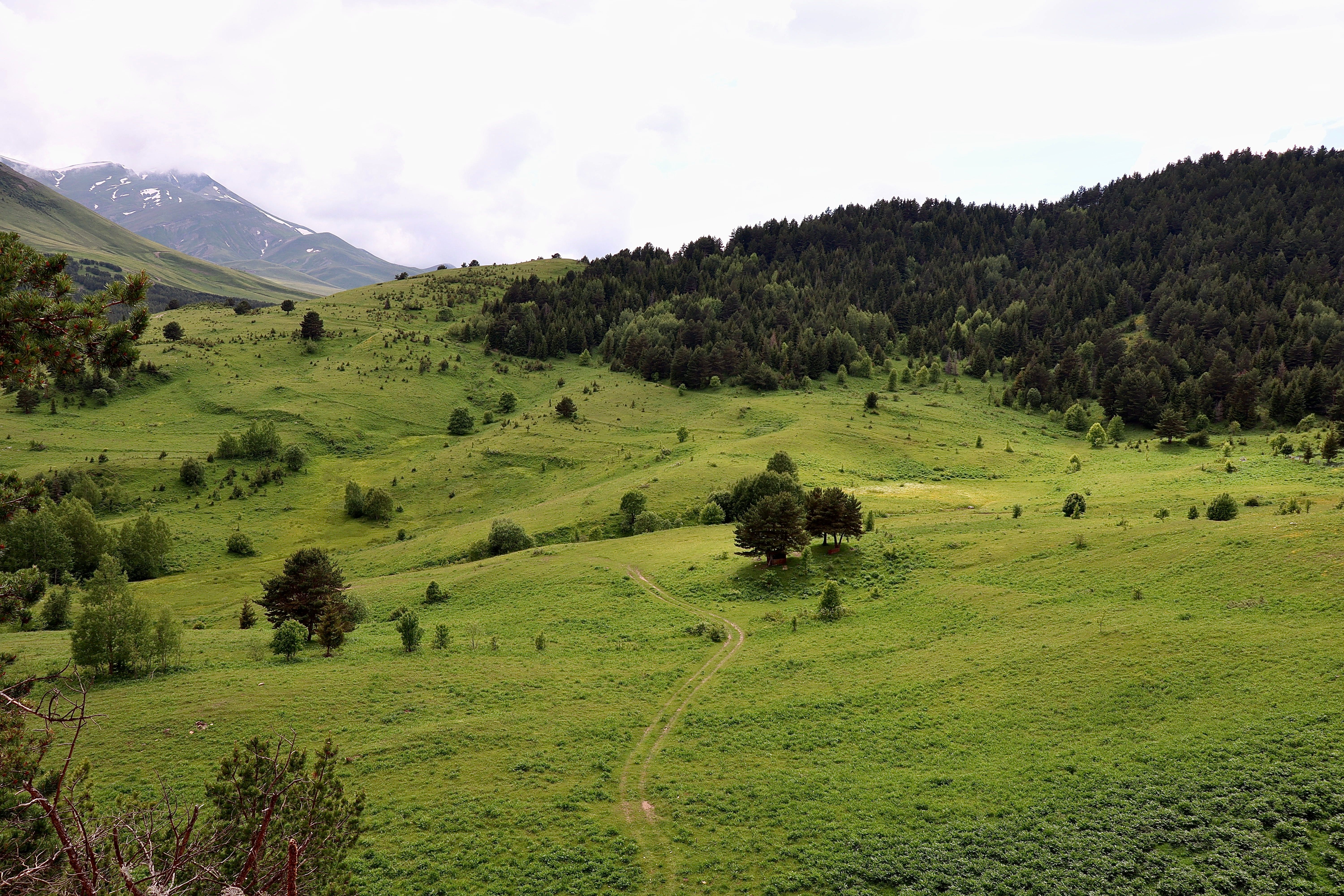 A lush green landscape of rolling hills and dense forests under a cloudy sky.