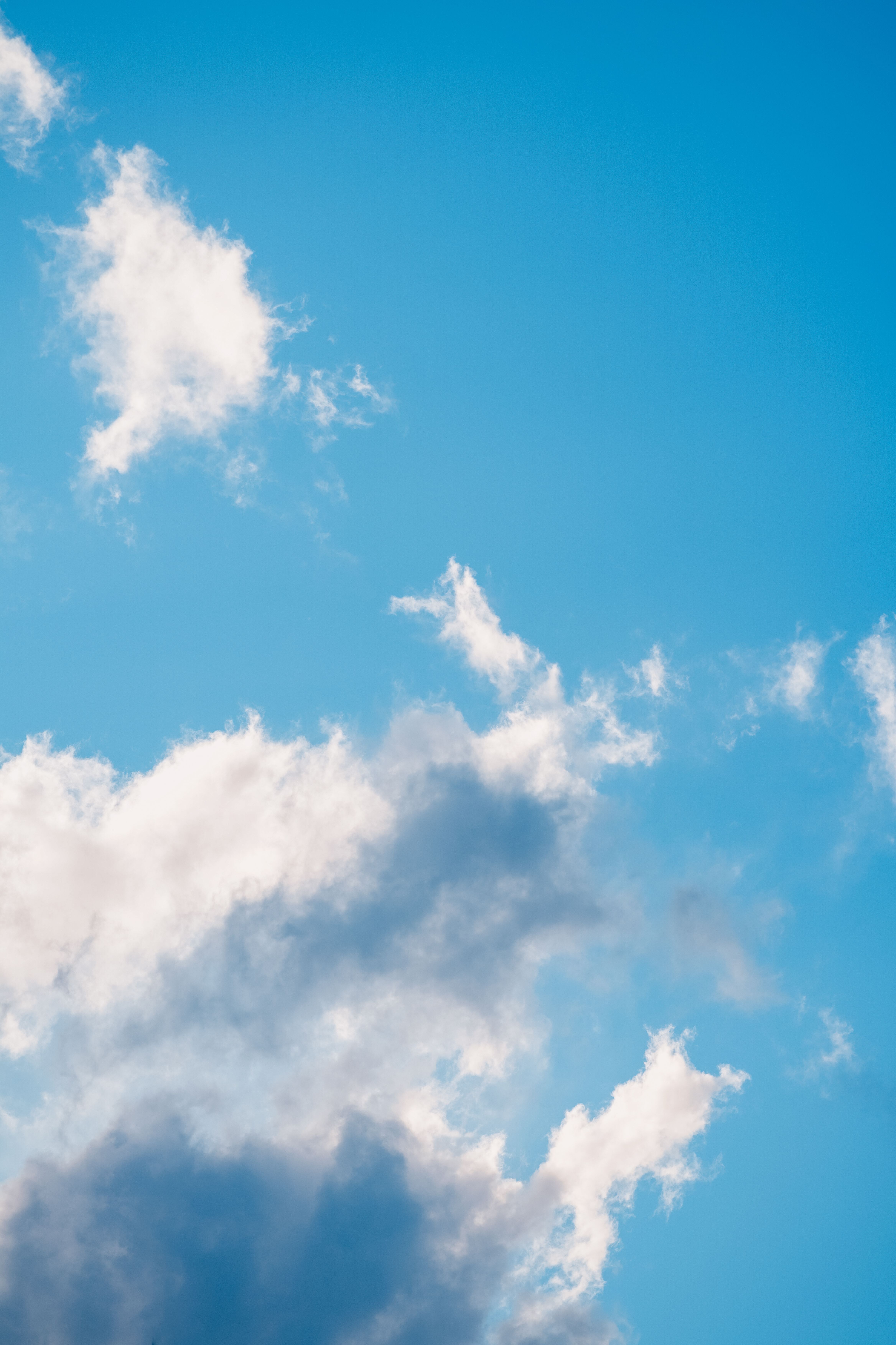 Bright Blue Sky with Fluffy Clouds · Free Stock Photo