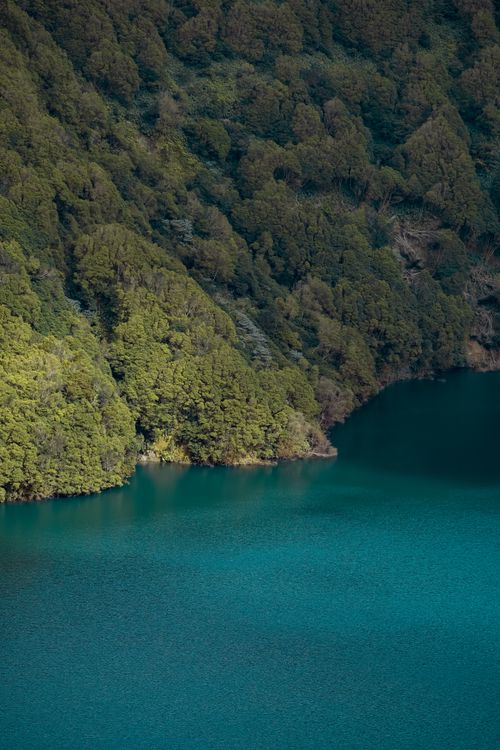 Free Breathtaking view of a vibrant turquoise lake surrounded by dense evergreen forest in the Azores. Stock Photo