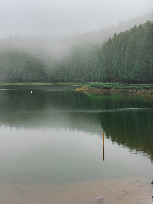 Free A tranquil misty landscape of a lake bordered by lush green trees, capturing the serene beauty of the Azores. Stock Photo
