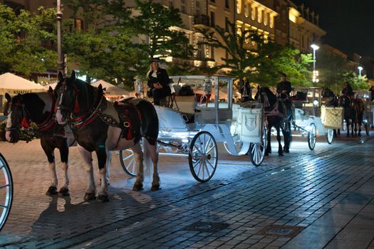 Elegant horse-drawn carriages lining the streets of Kraków Old Town under the night sky.