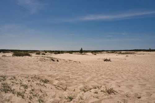 Free Expansive view of the Błędów Desert in Lesser Poland with clear blue skies. Stock Photo