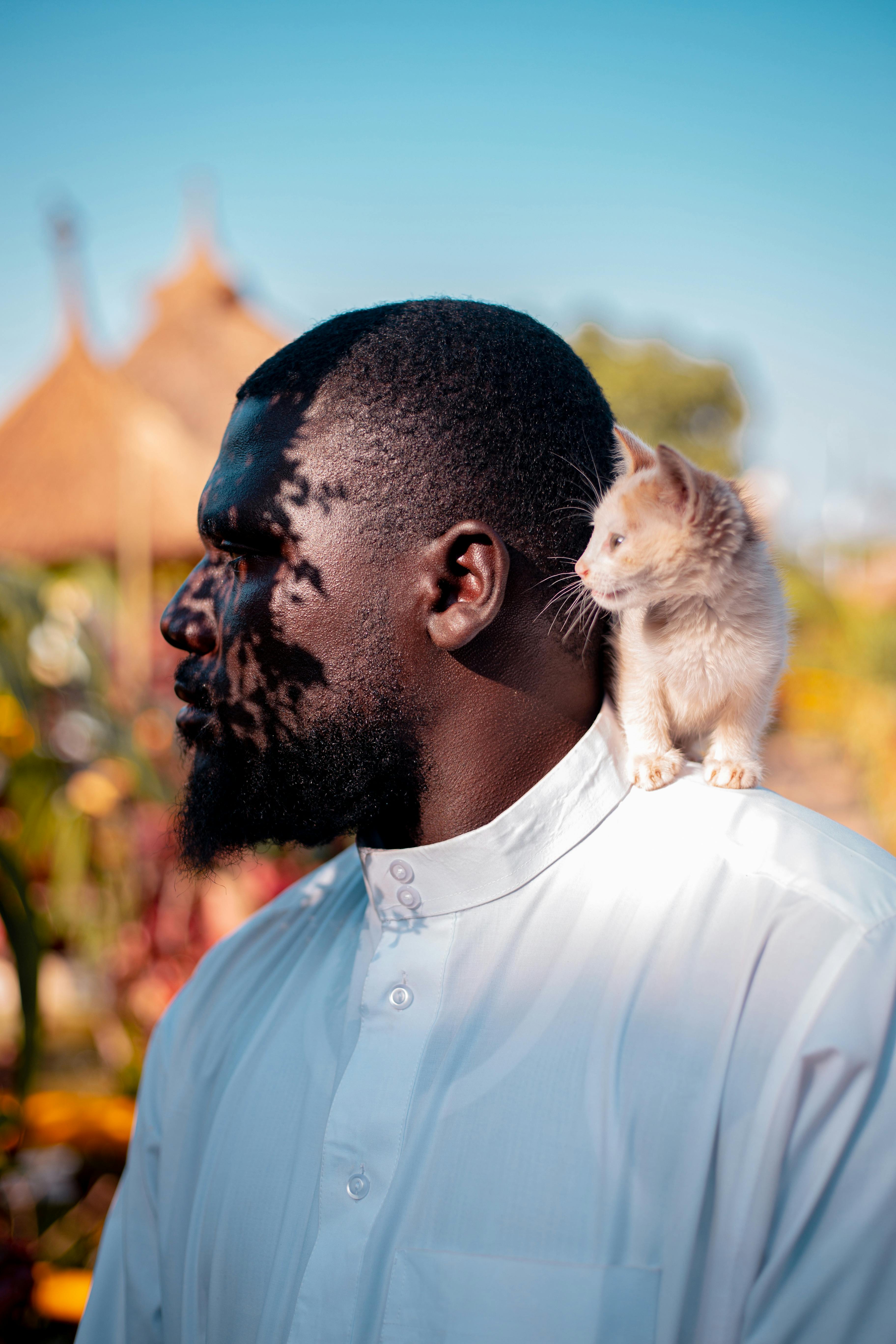 Man standing outdoors with a kitten on his shoulder, casting natural shadows.
