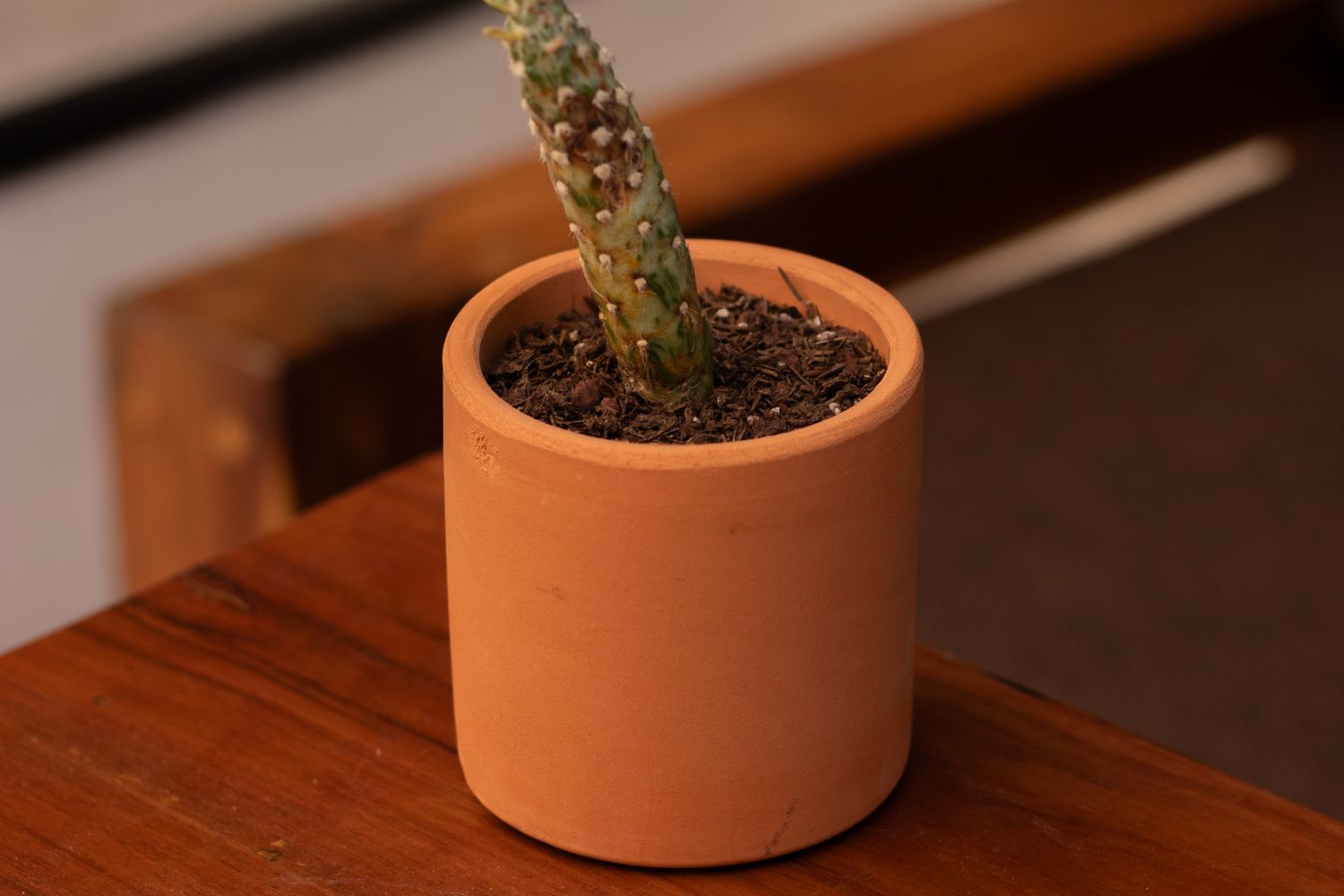 Smll Pot Small Pot Photos, Download The BEST Free Small Pot Stock Photos & HD Images