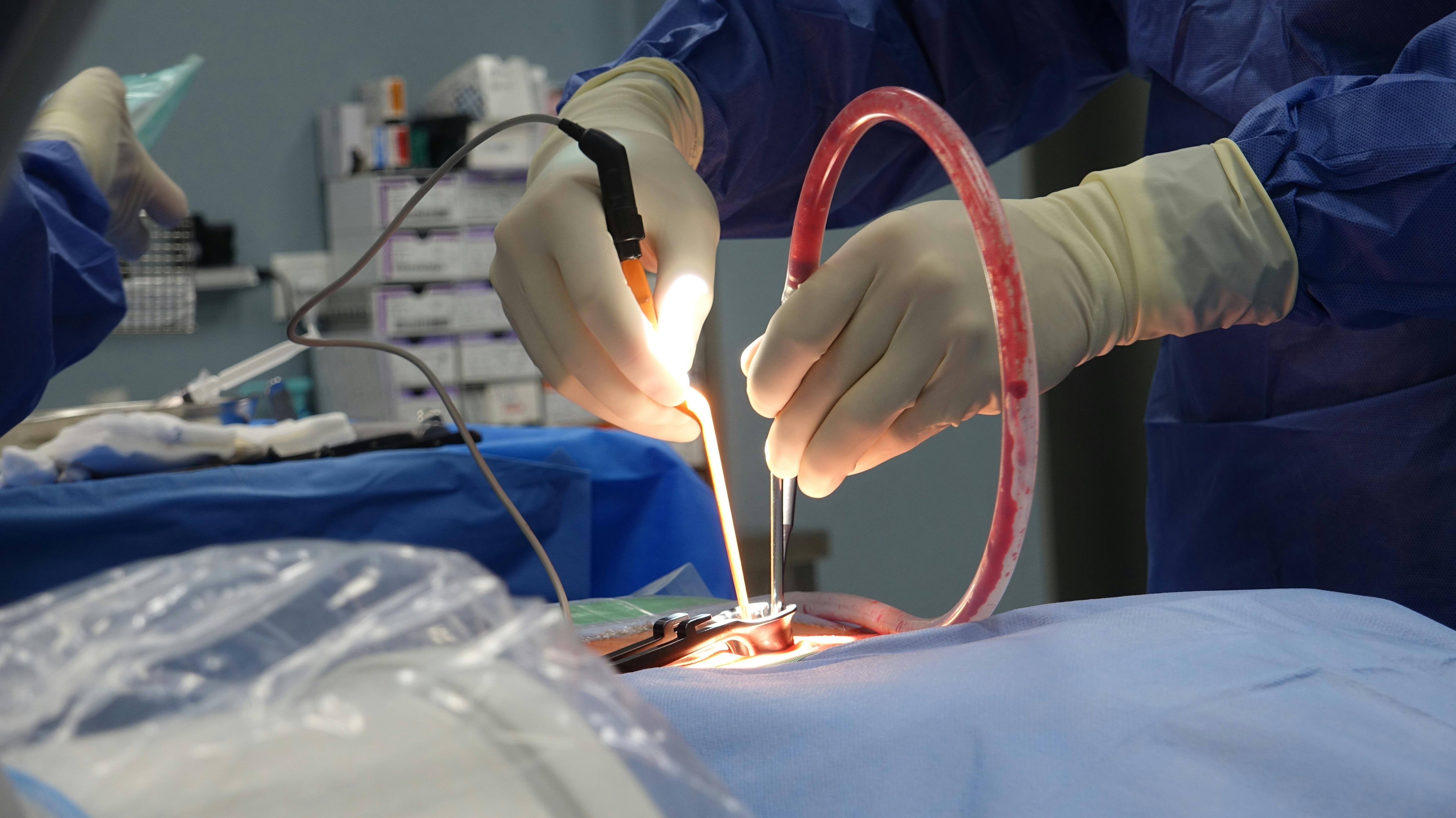 When Exercise Backfires: Orthopaedic Surgeons on Injury Prevention | Newswise — Photo by Viktors Duks on Pexels