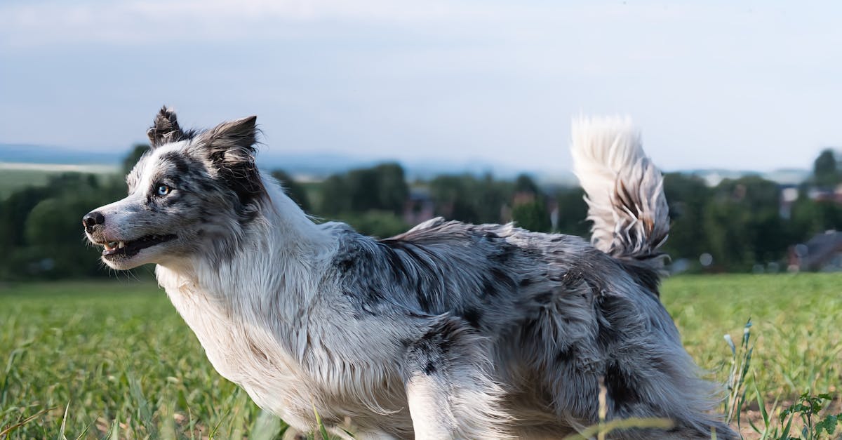 跳脫 讀書考試 框架 親子共創暑期生活挑戰記錄 轉換身心靈新體驗