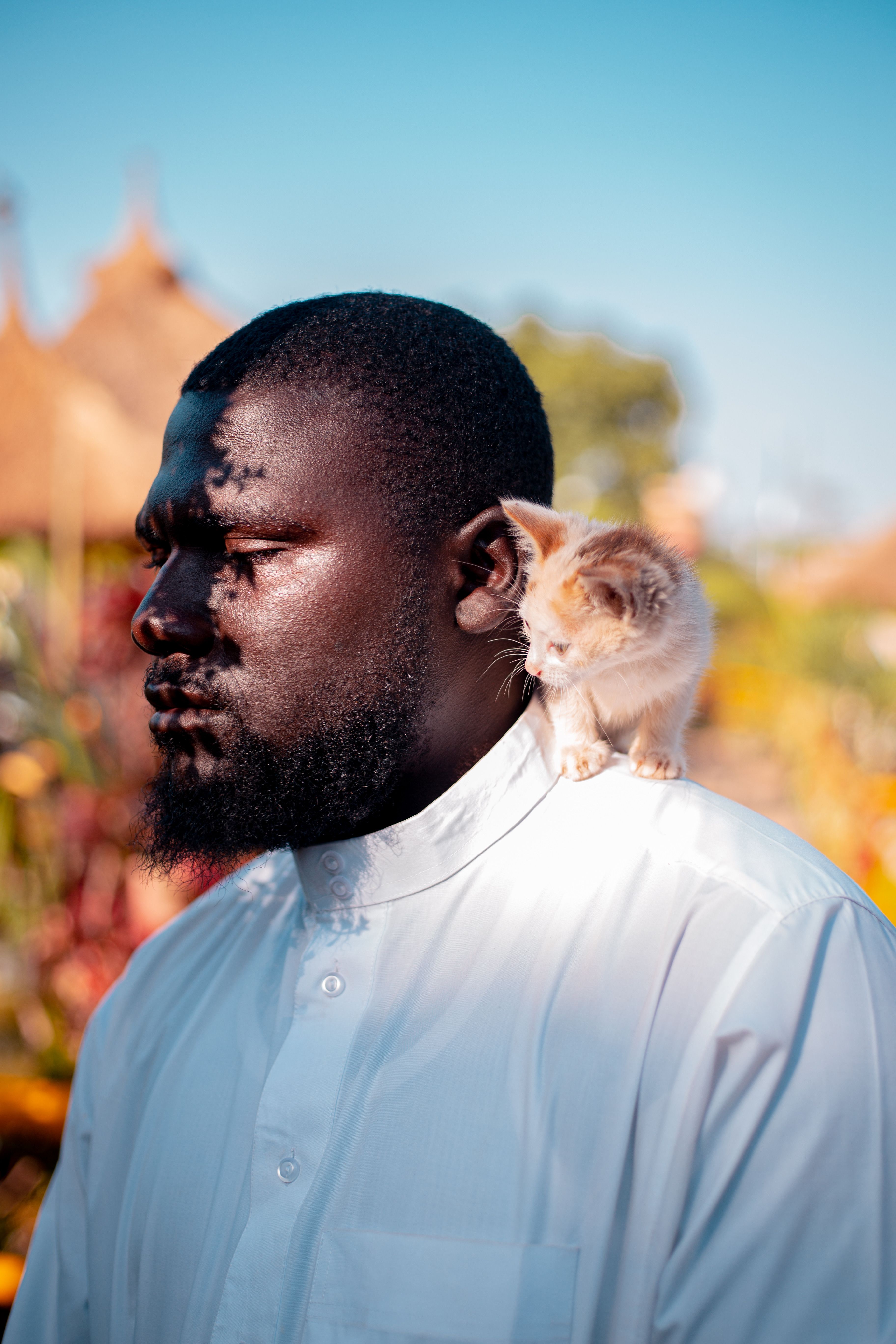 A man in a white shirt outdoors with a kitten on his shoulder, vivid colors.