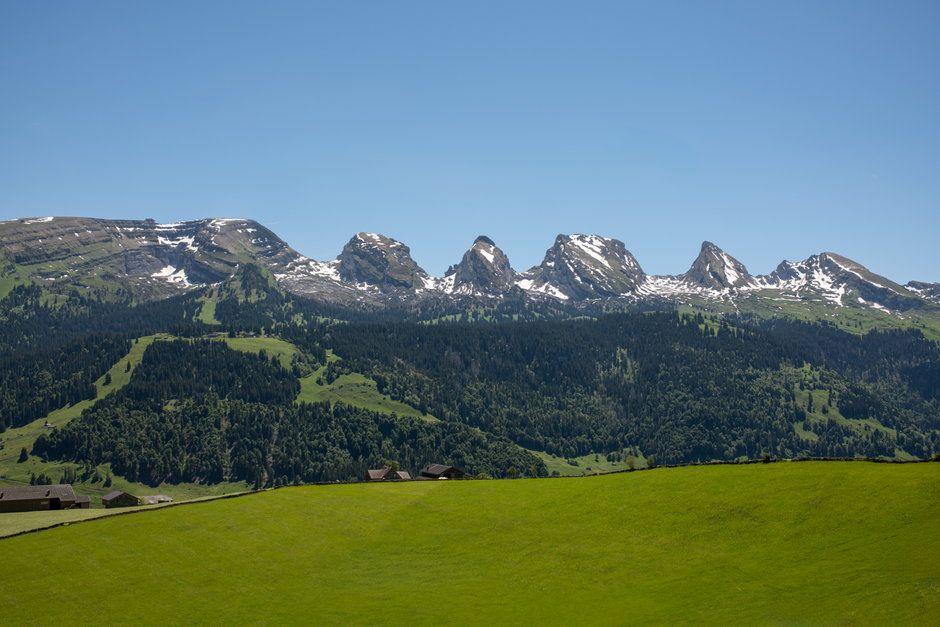 Peut-on vivre en Suisse sans parler anglais ?
