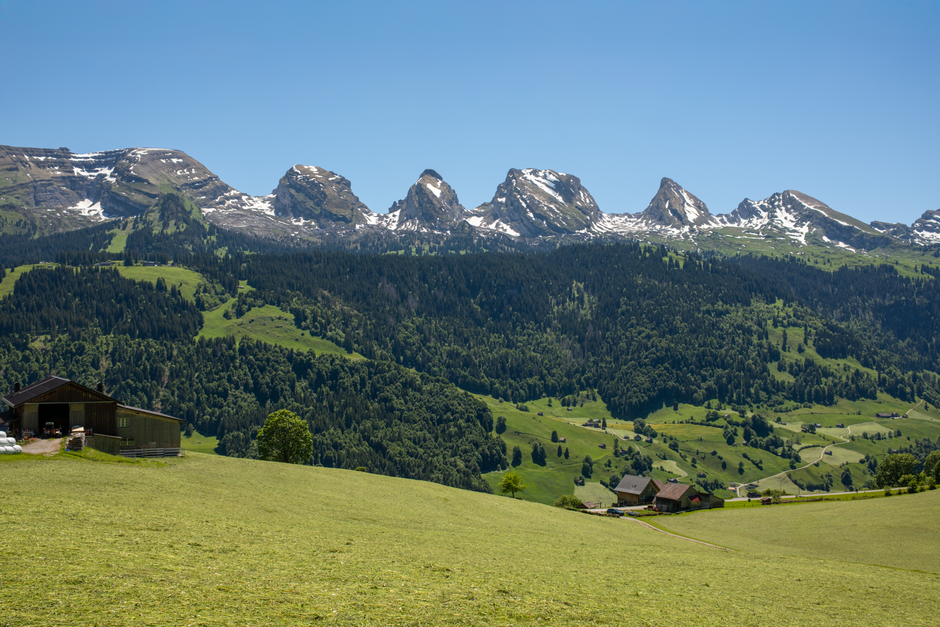 Les Meilleures Villes de Suisse pour Immigrer en 2026