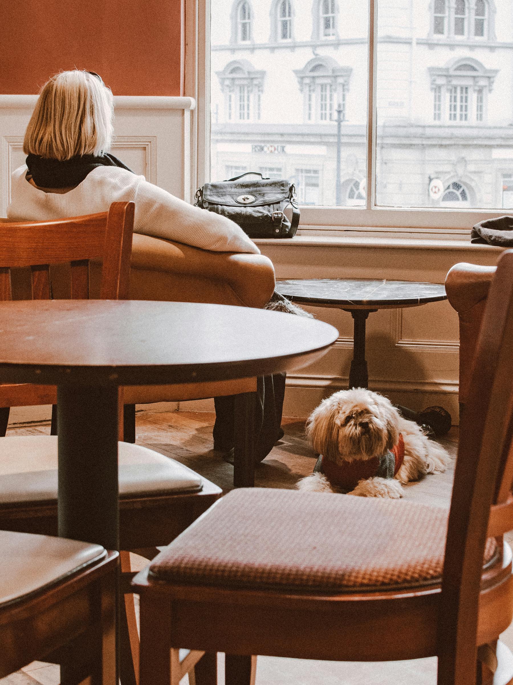 brown wooden table