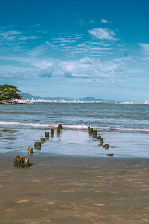Free A peaceful beach with wooden posts leading to water and a distant city skyline. Stock Photo